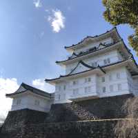 毗鄰東京的中世紀城堡🏯小田原城