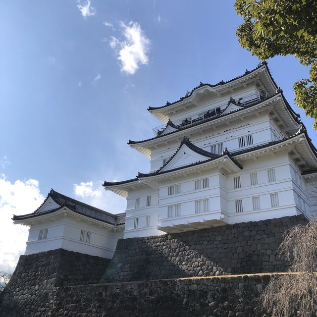 毗鄰東京的中世紀城堡🏯小田原城