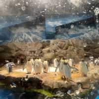 海洋公園：南極奇觀