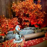 สัมผัสประสบการณ์สุดคูลในดินแดน Frozen ❄️