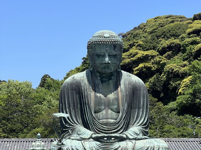 日本電鐵江之電｜長谷站高德院鎌倉大佛，鎌倉唯一的國寶佛像