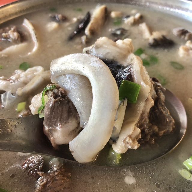 屏東縣東港（漁農海產）鮪魚大餐真好吃😋