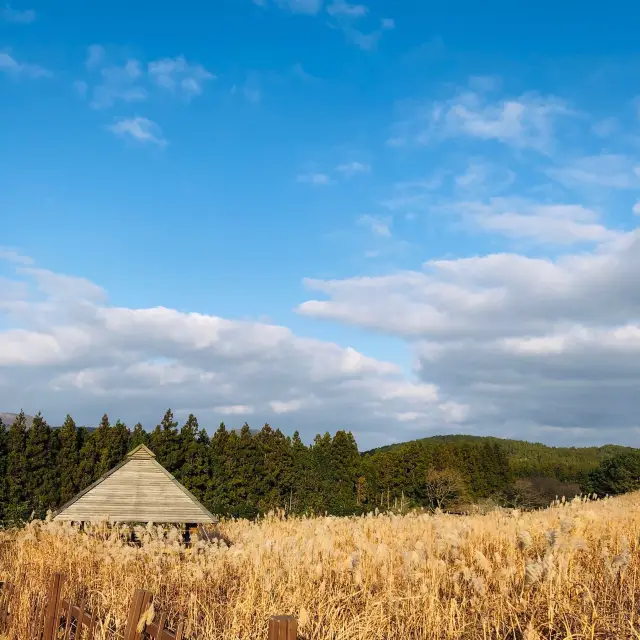 🇰🇷韓國濟州風景🈚️敵浪漫💕 Sangumburi 산굼부리