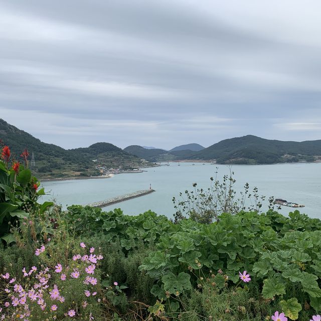 귀여운 고양이를 만날 수 있는 곳, 고흥쑥섬