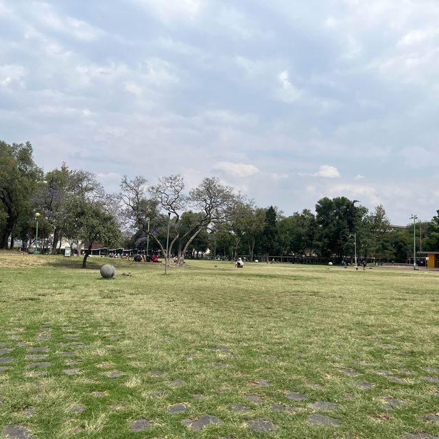 【世界遺産】メキシコ国立自治大学