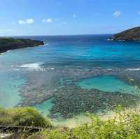 PARADISE ON EARTH - ALOHA FROM HAWAII 