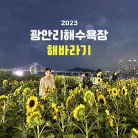 부산여행 광안리 해수욕장 해바라기 🌻