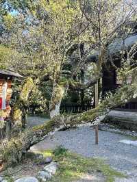 【神奈川県/報徳二宮神社】故郷・小田原市に二宮金次郎を祀る神社