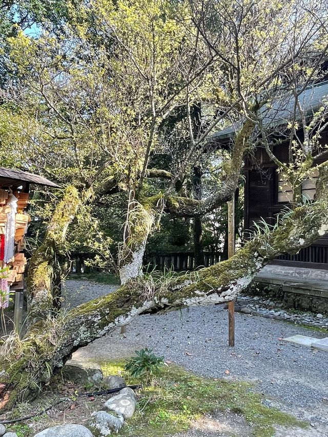 【神奈川県/報徳二宮神社】故郷・小田原市に二宮金次郎を祀る神社