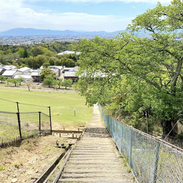 《奈良》鹿と一緒に奈良県を一望できるオススメスポット🐥