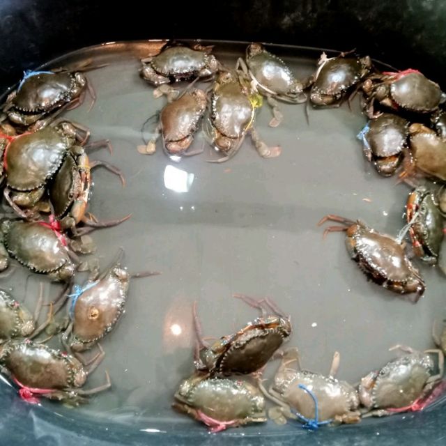 อ่าวขนอมซีฟู้ด