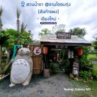 สวนน้ำชา [@ชามโตชมทุ่ง สันกำแพง] - เชียงใหม่