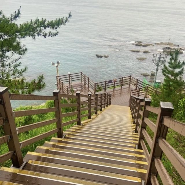 속초 산책하기 좋은 외옹치 바다향기로 🌳