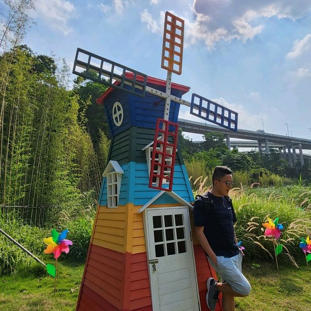 ▍療癒之旅 ▍深圳都市田園：忘卻喧囂，尋覓愜意自然美景 