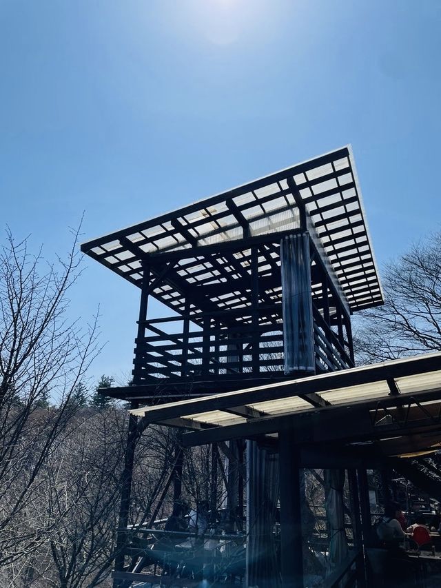 【長野県＆群馬県/しげの屋】名物・碓氷そば＆元祖力餅