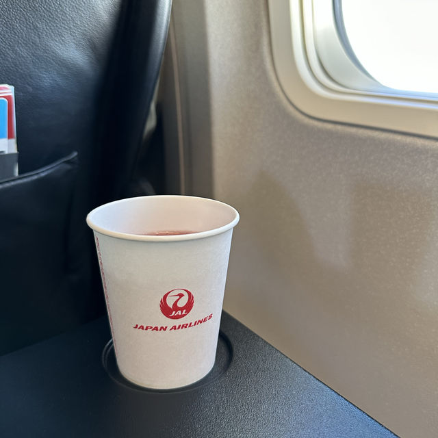 📍JAL国内線（羽田空港→釧路空港）搭乗記