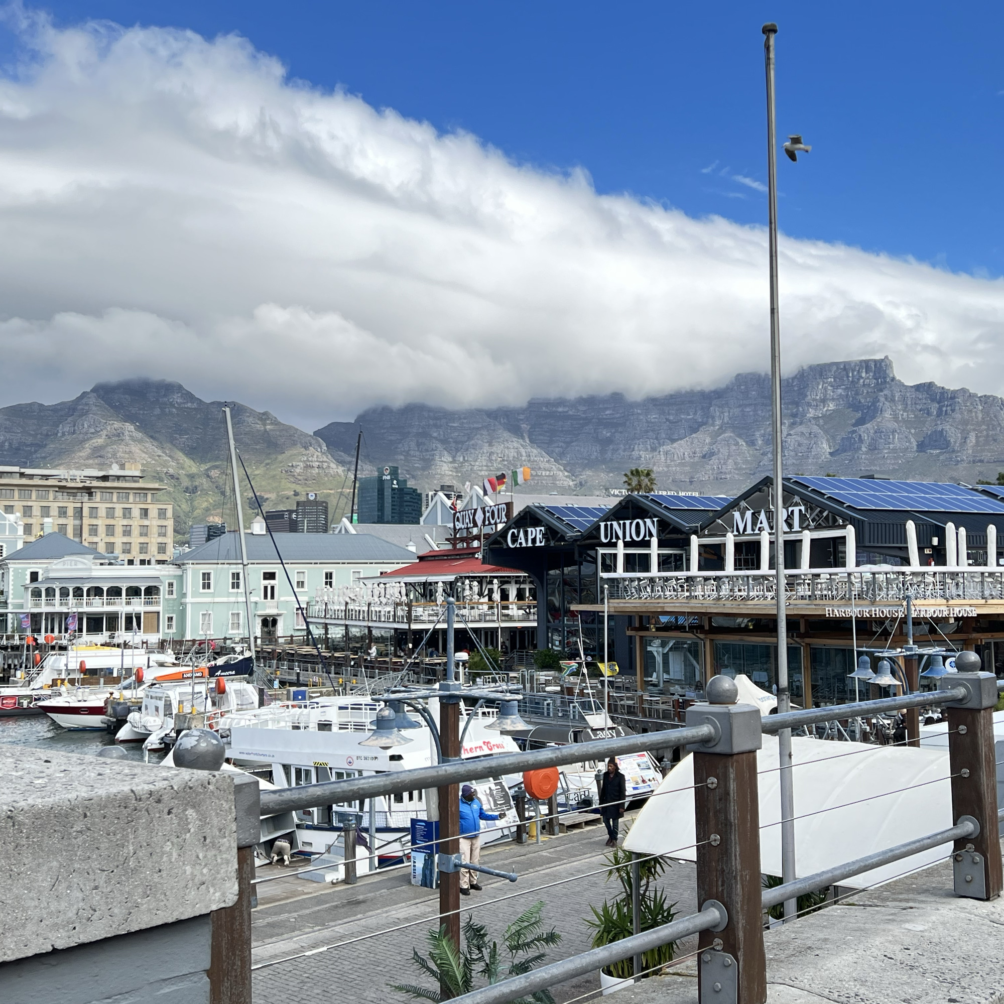 A day at Cape Town's high-end waterfront - Businessday NG