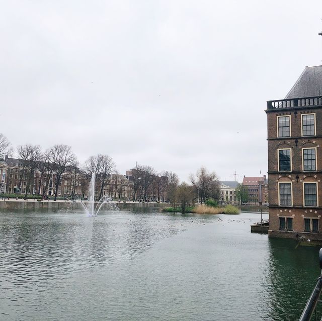 荷蘭🇳🇱海牙The Hague (Den Haag)🚶🏻‍♀️🚶🏿🚶🏻‍♂️ Hofvijver 散步看風景