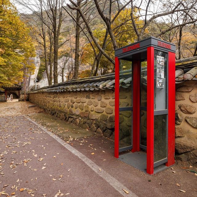 Beautiful Autumn View of Beopjusa temple 