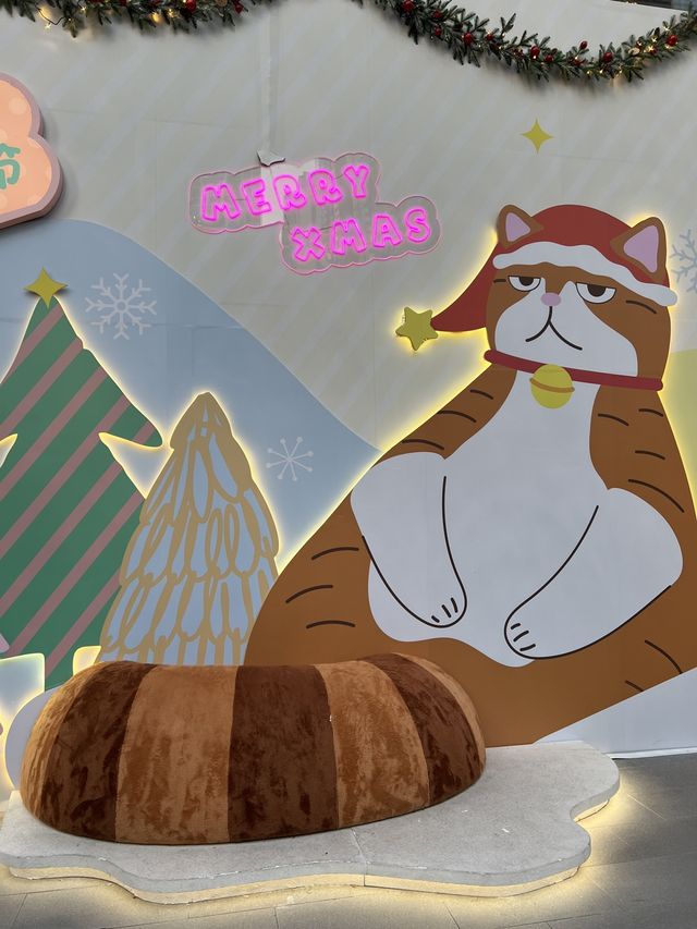 各主子注意⚠️聖誕節🎄必去荃灣廣場🥰橘貓重重可愛😻打卡位