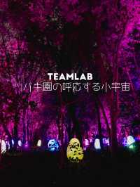 大阪戶外Teamlab-突破物質界限嘅藝術展