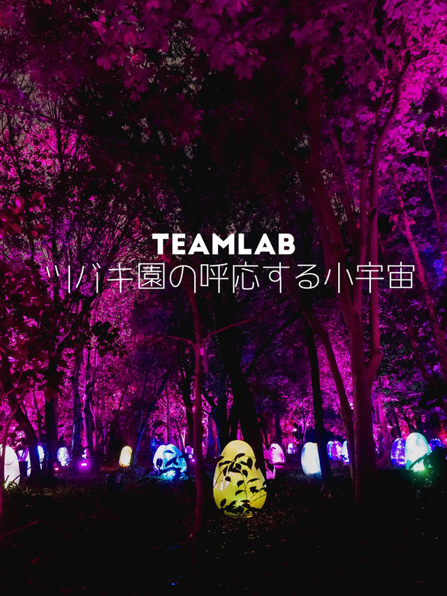 大阪戶外Teamlab-突破物質界限嘅藝術展