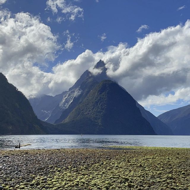 Feels like a dream in Milford sounds