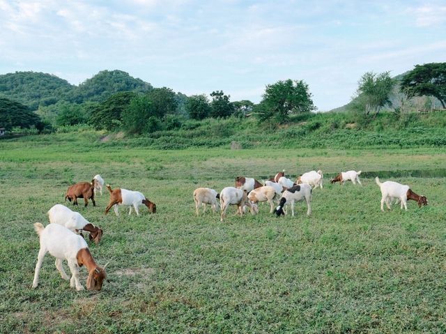 เขื่อนปราณบุรี จังหวัดประจวบคีรีขันธ์
