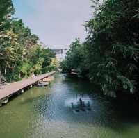 คาเฟ่ลับใน ม.มหิดล ศาลายา