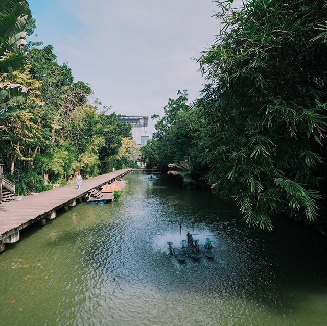 คาเฟ่ลับใน ม.มหิดล ศาลายา