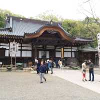 深大寺參拜之旅⛩🙏