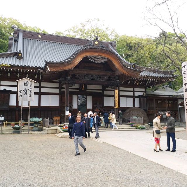 深大寺參拜之旅⛩🙏