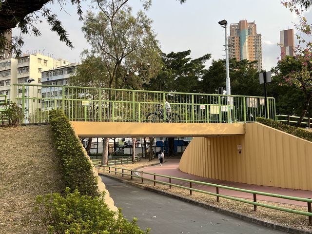 九龍城廣場旁邊嘅賈炳達道公園