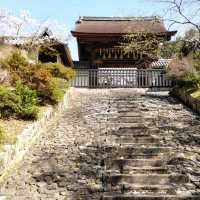 隠れた桜の名所「毘沙門堂」