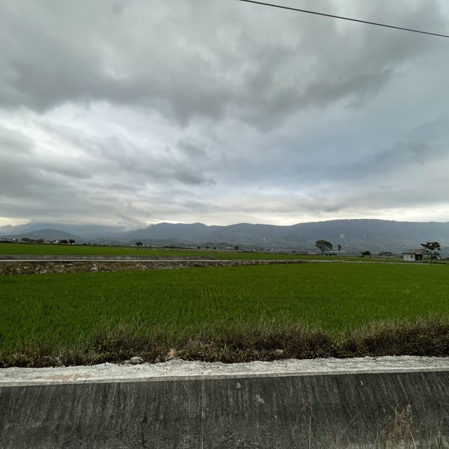 台東伯朗大道