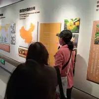 桂花公社的參觀的個人感受