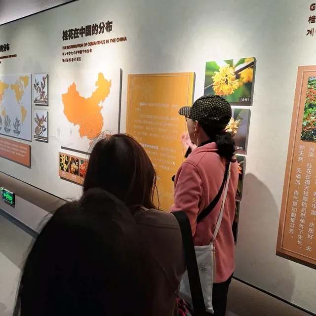 桂花公社的參觀的個人感受