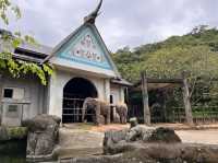 體力挑戰遊台北動物園