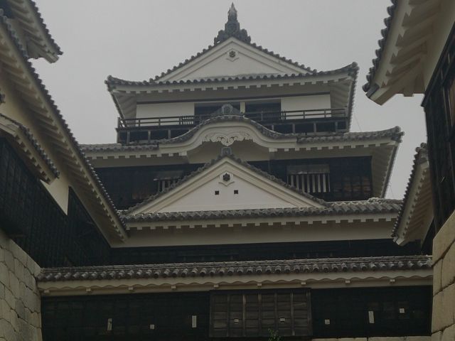 【愛媛】霧雨に映える松山城