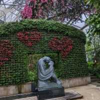 【ハーブ探しの旅】神戸最大の癒しスポット！神戸布引ハーブ園