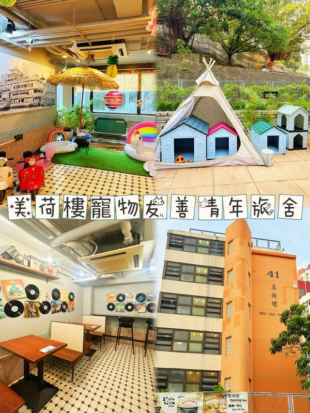 ⭐️香港「H」型公屋狀況～仲有寵物友善餐廳🐶🐱