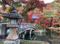 เที่ยวใบไม้เปลี่ยนสี เกียวโต วัดเอกันโดเซ็นริน 🍁⛩️