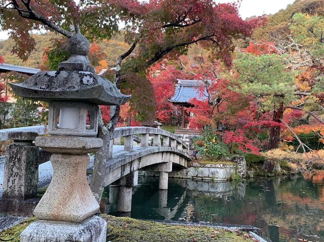 เที่ยวใบไม้เปลี่ยนสี เกียวโต วัดเอกันโดเซ็นริน 🍁⛩️