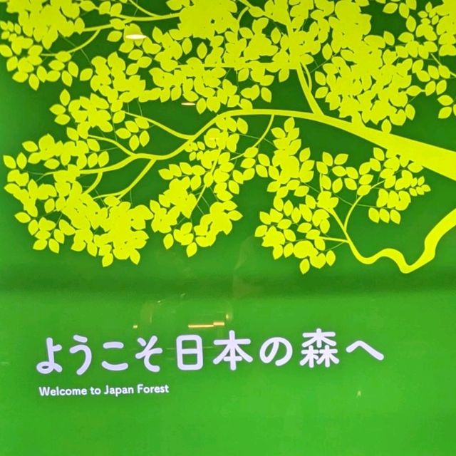 【巨大水槽を浅瀬から深層まで眺める】水族館