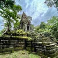 Preah Palilay - the three big trees