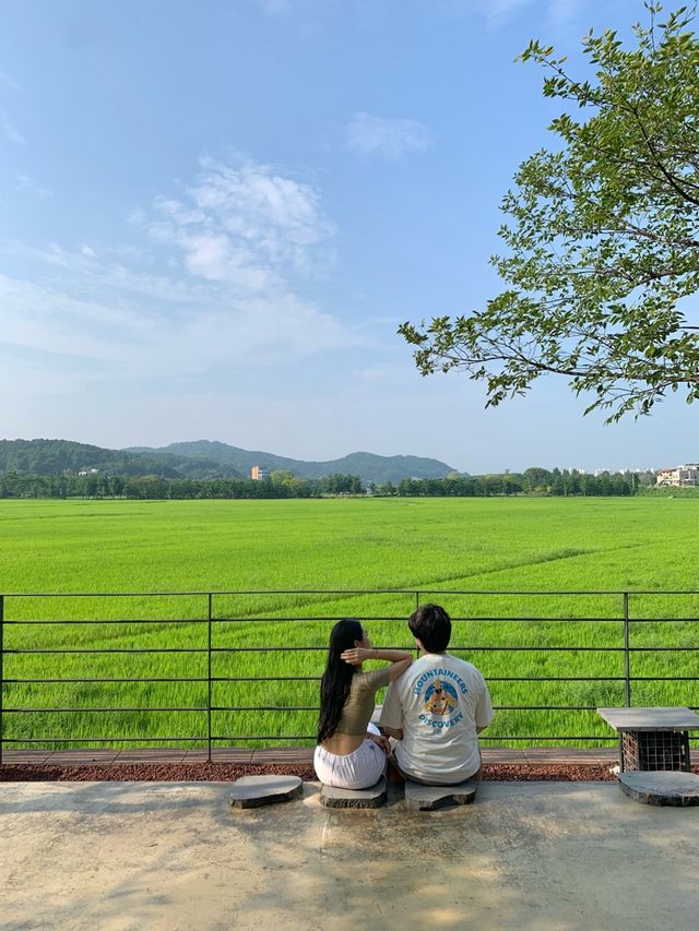 아산 신상카페! 눈이 맑아지는 기분은 덤 🫣