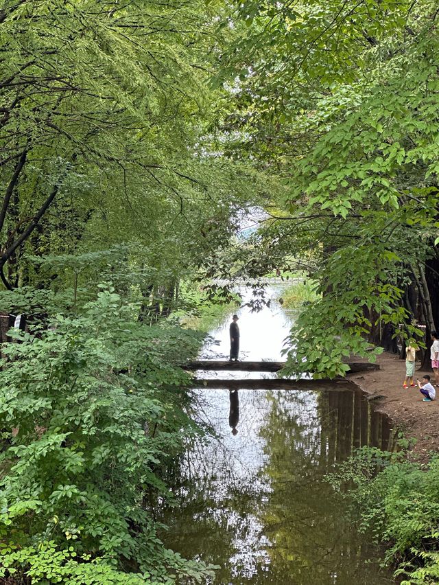 부모님과 함께 가기 좋은 경주, 경북천년숲정원🌱🌲