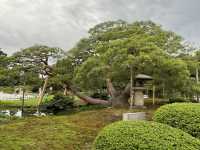 金澤景點 @ 江戶時代大名庭園「兼六園」