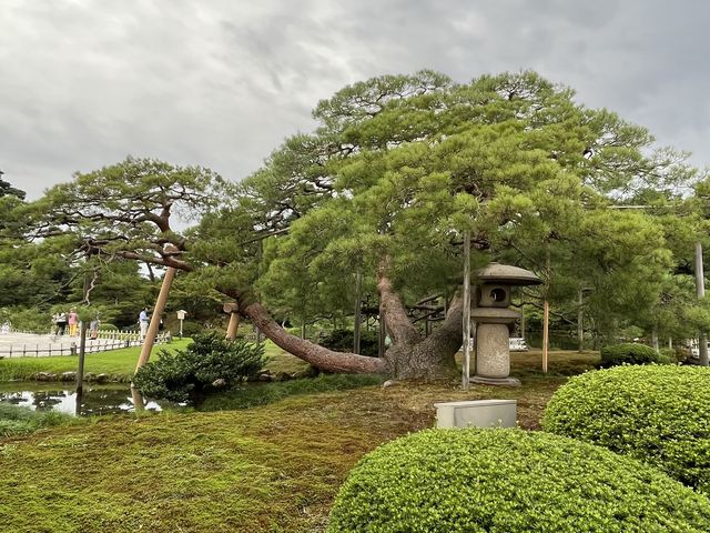 金澤景點 @ 江戶時代大名庭園「兼六園」