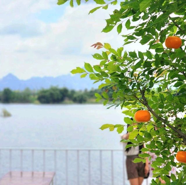 ☕️คาเฟ่ริมทะเลสาบสไตล์มินิมอล 🏡  𝑳𝒂𝒈𝒖𝒏𝒆